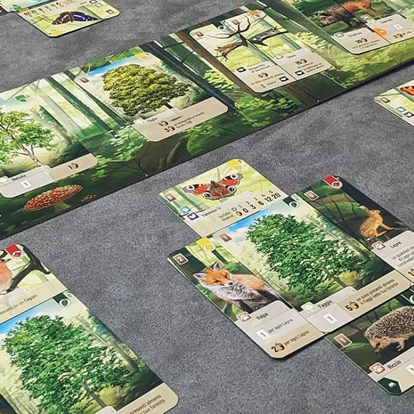 Foto van speelgoed 07_Forest_Shuffle_mMYRorAPAn6670OEJSUxXD5KHpUHlDd0AeHrN8tmjeZN9MVKONpraXD4s4DjtAnK.jpg